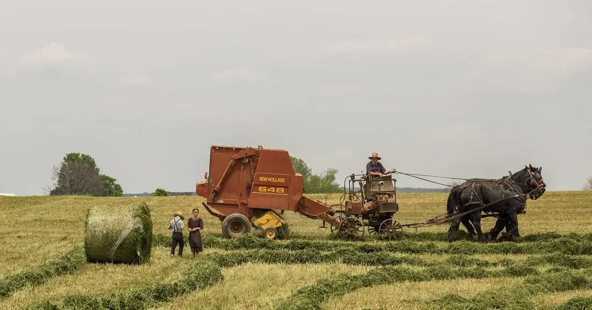 A consular officer reviewing a visa application during an embassy interview
