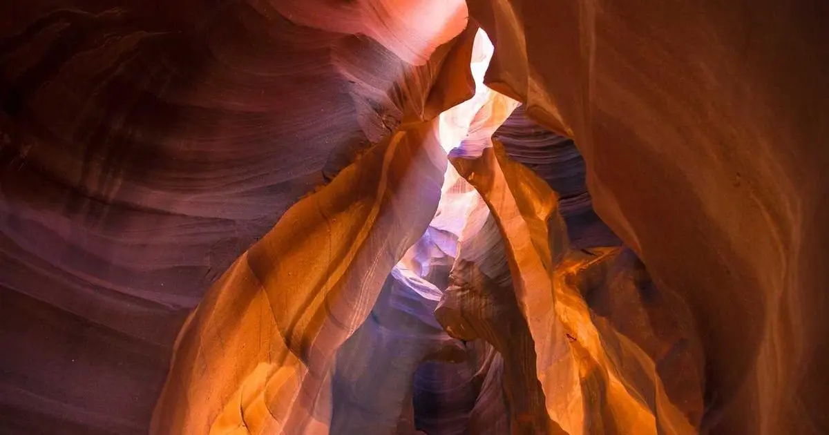 A person browsing courier options on a laptop for passport delivery