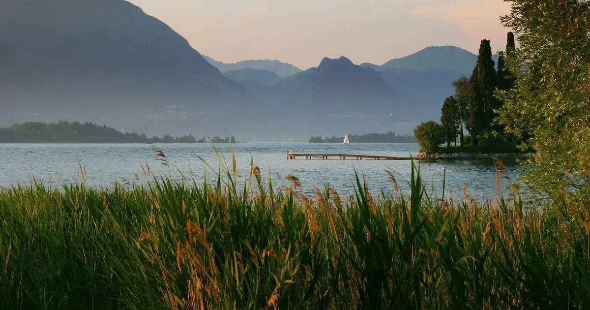 A user checking delivery options for their passport on a smartphone