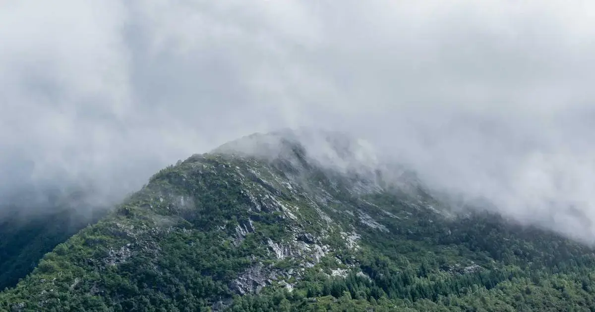 detailed explanation of a visa appointment scheduling website interface