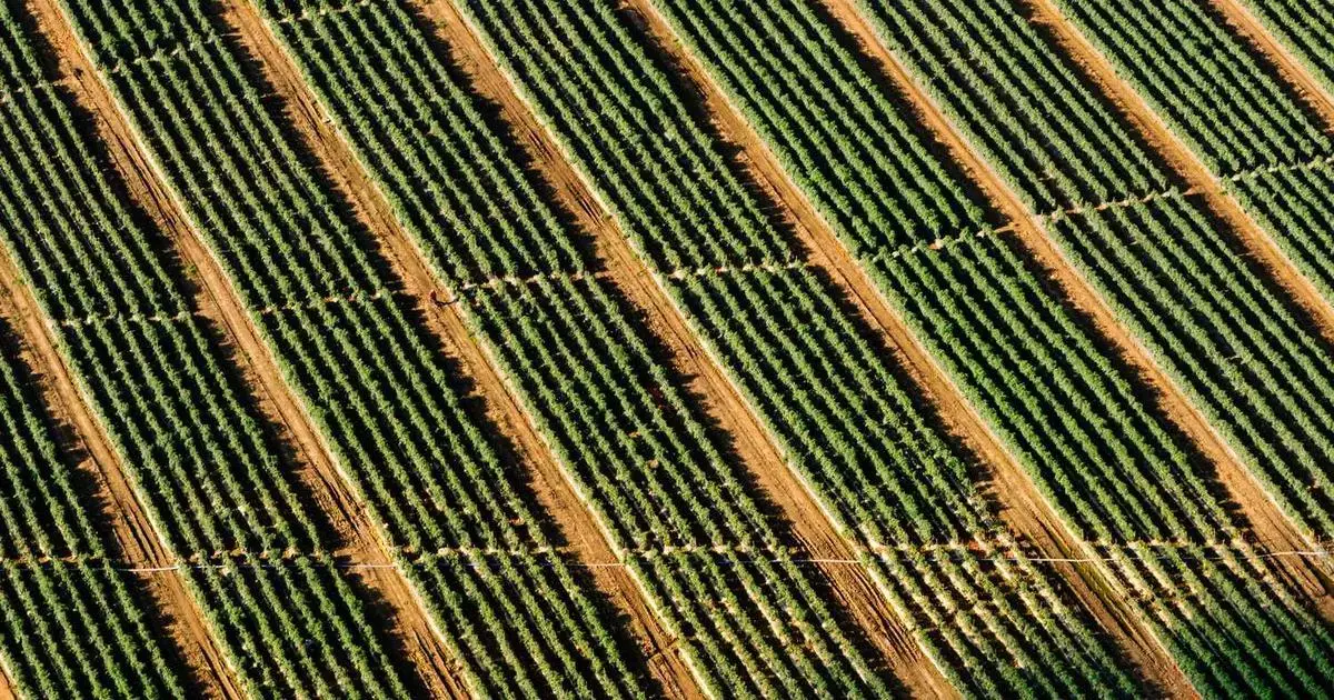 Mülakat Günü: Yanınıza Ne Götürmelisiniz? (Belge Checklist)