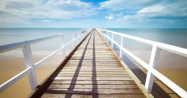 F-1 Öğrenci Vizesi: I-20 ve SEVIS Rehberi