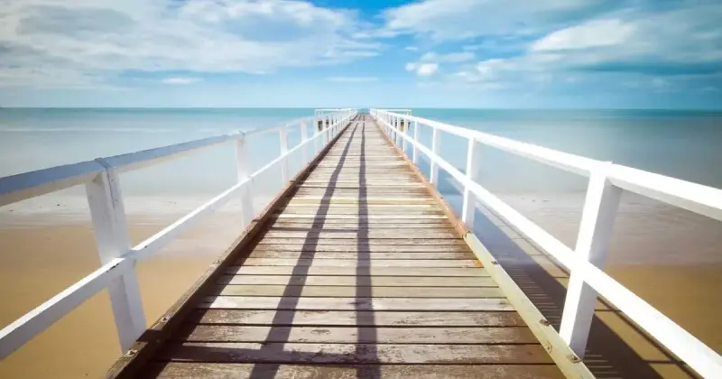 F-1 Öğrenci Vizesi: I-20 ve SEVIS Rehberi