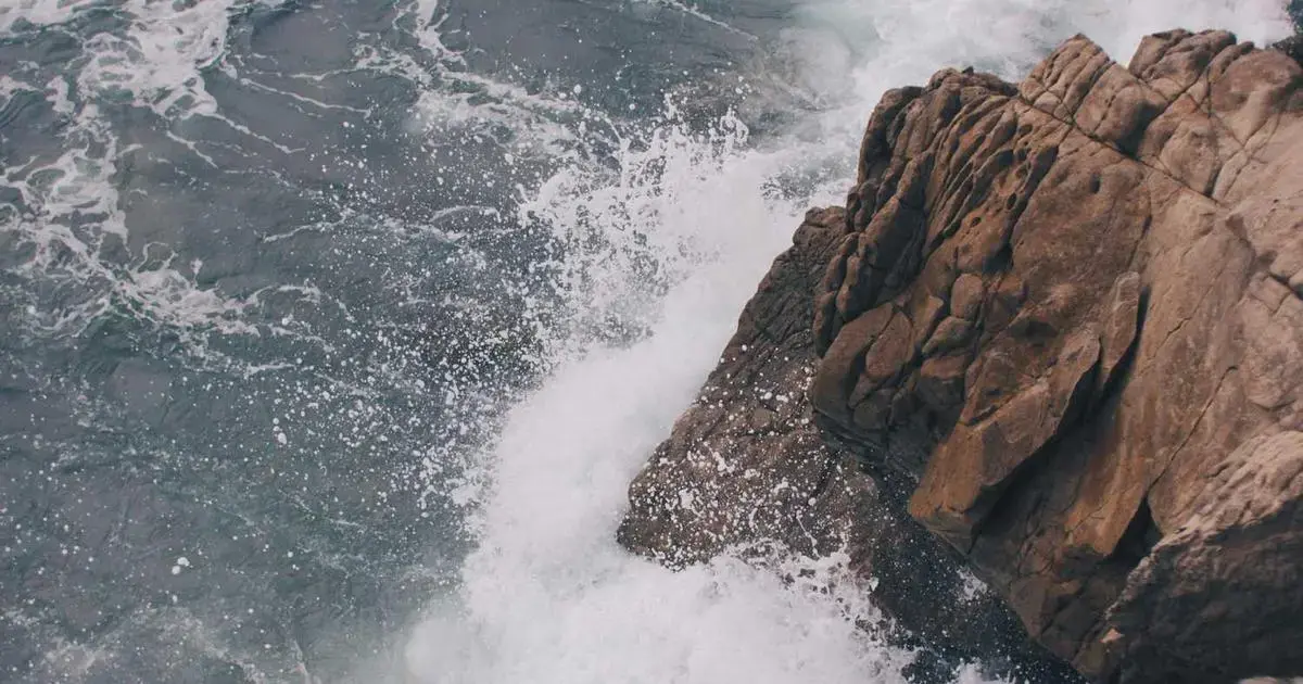 Green Card Çekilişi (DV): Seçildikten Sonraki Adımlar ve DS-260 Süreci