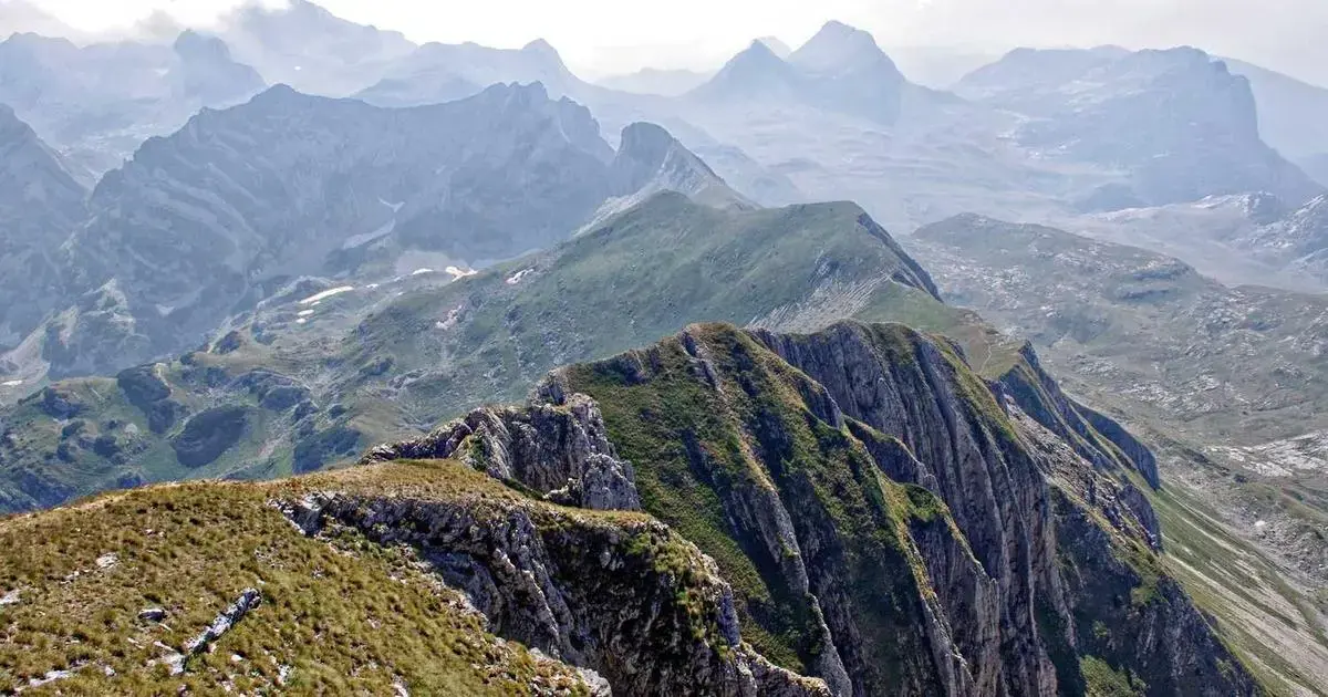 H-1B Çalışma Vizesi: Sponsor Bulma ve Süreç Adımları