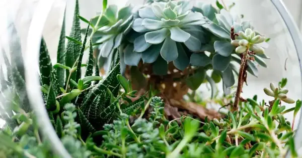 J-1 Değişim Vizesi: 2 Yıl Kuralı ve Muafiyet Süreci