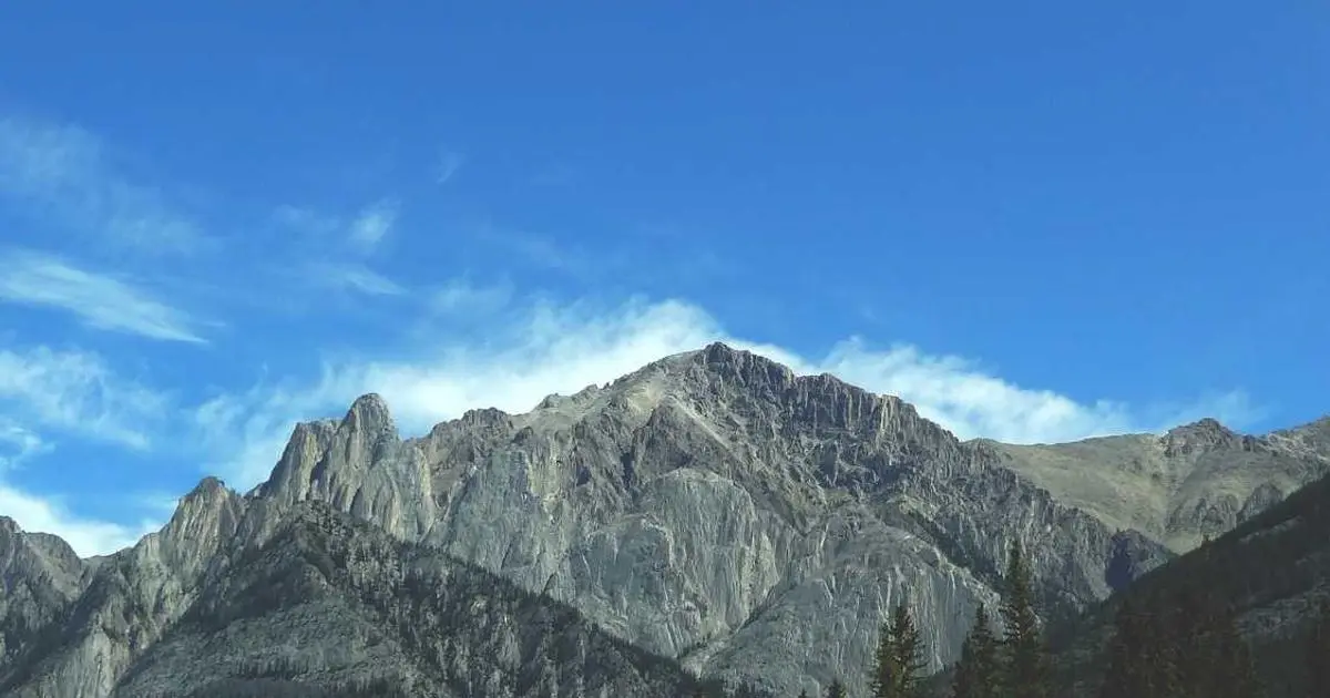 SEVIS fee payment interface on a computer screen